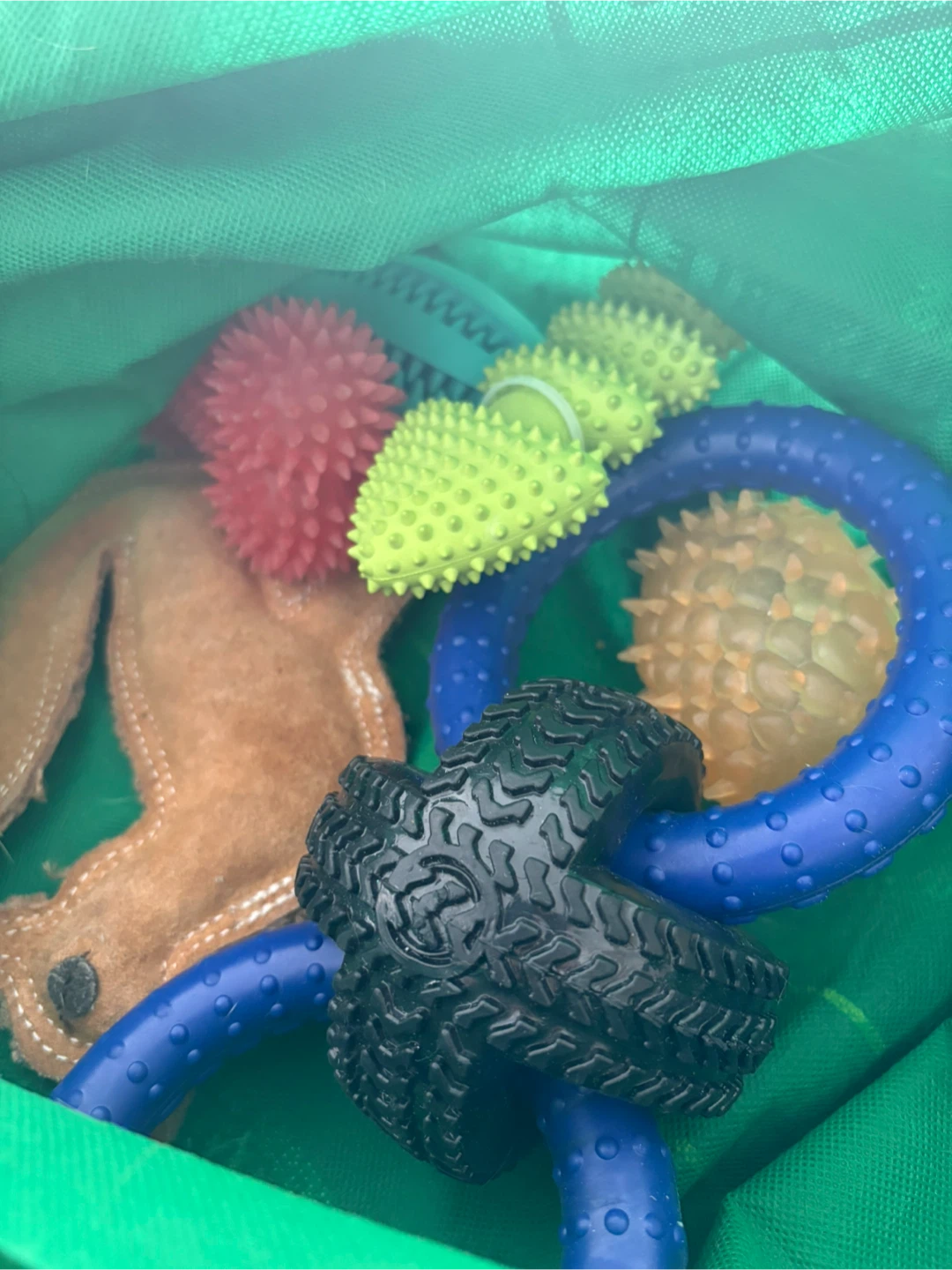 Assorted Dog Toys Bundle