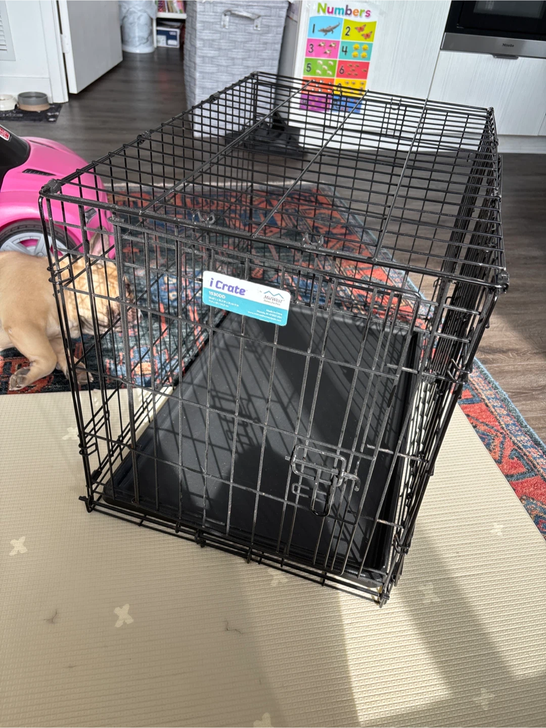 Medium Dog Crate - Midwest Homes, double door, foldable