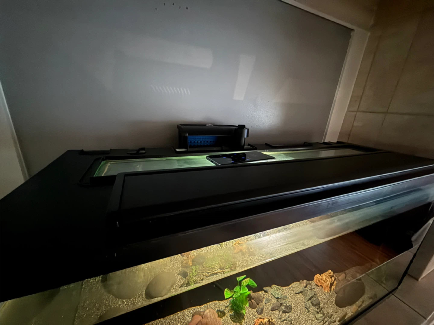 40 Gallon COMPLETE Aquarium Setup + Python Water Changer - photo 4
