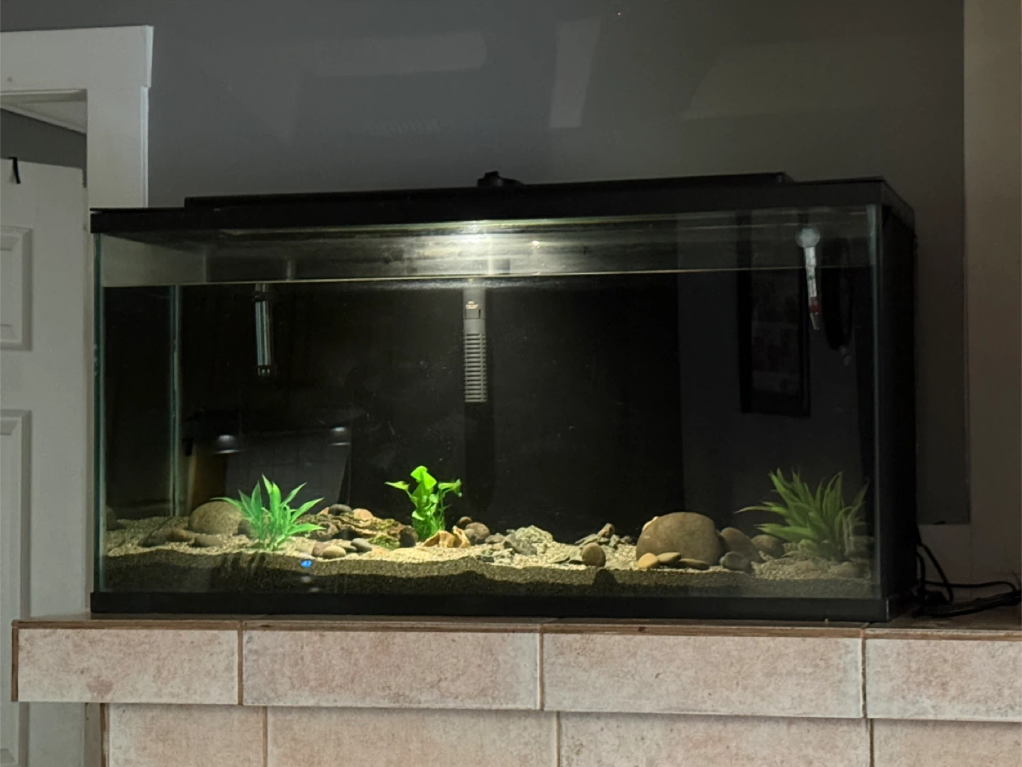 40 Gallon COMPLETE Aquarium Setup + Python Water Changer - photo 2