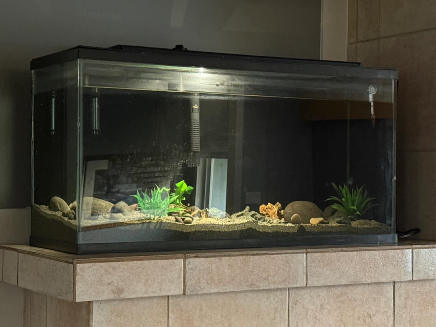 40 Gallon COMPLETE Aquarium Setup + Python Water Changer - photo 3