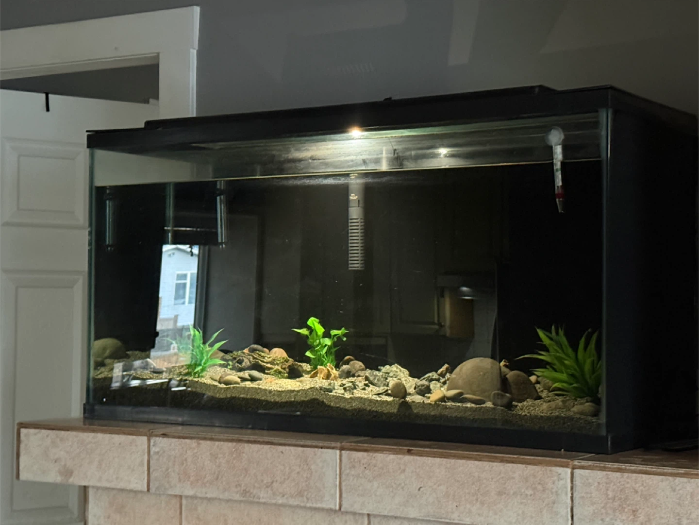 40 Gallon COMPLETE Aquarium Setup + Python Water Changer