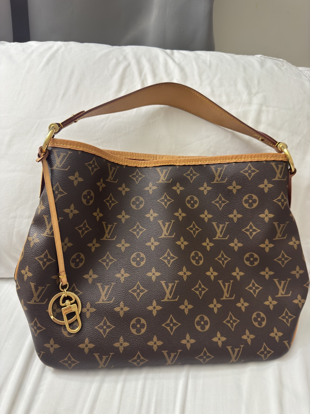 Louis Vuitton Monogram Shoulder Bag