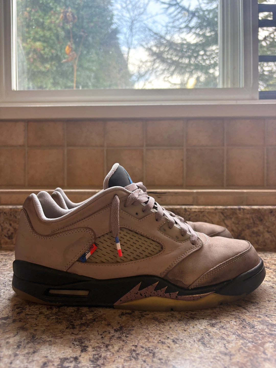 Air Jordan 5 PSG "Paris Saint-Germain" - photo 5
