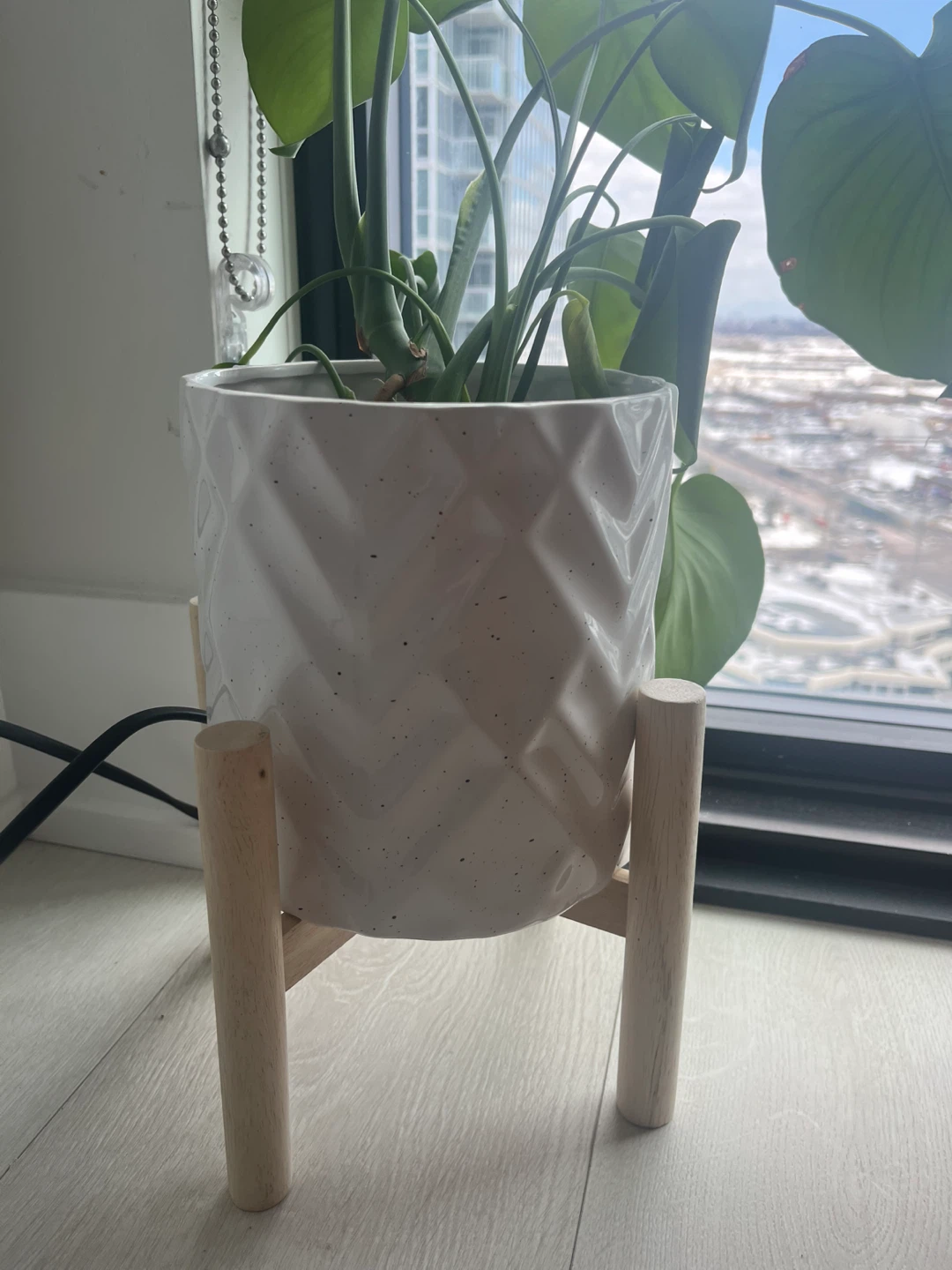 Tropical Plant in Ceramic Pot with Stand - photo 3
