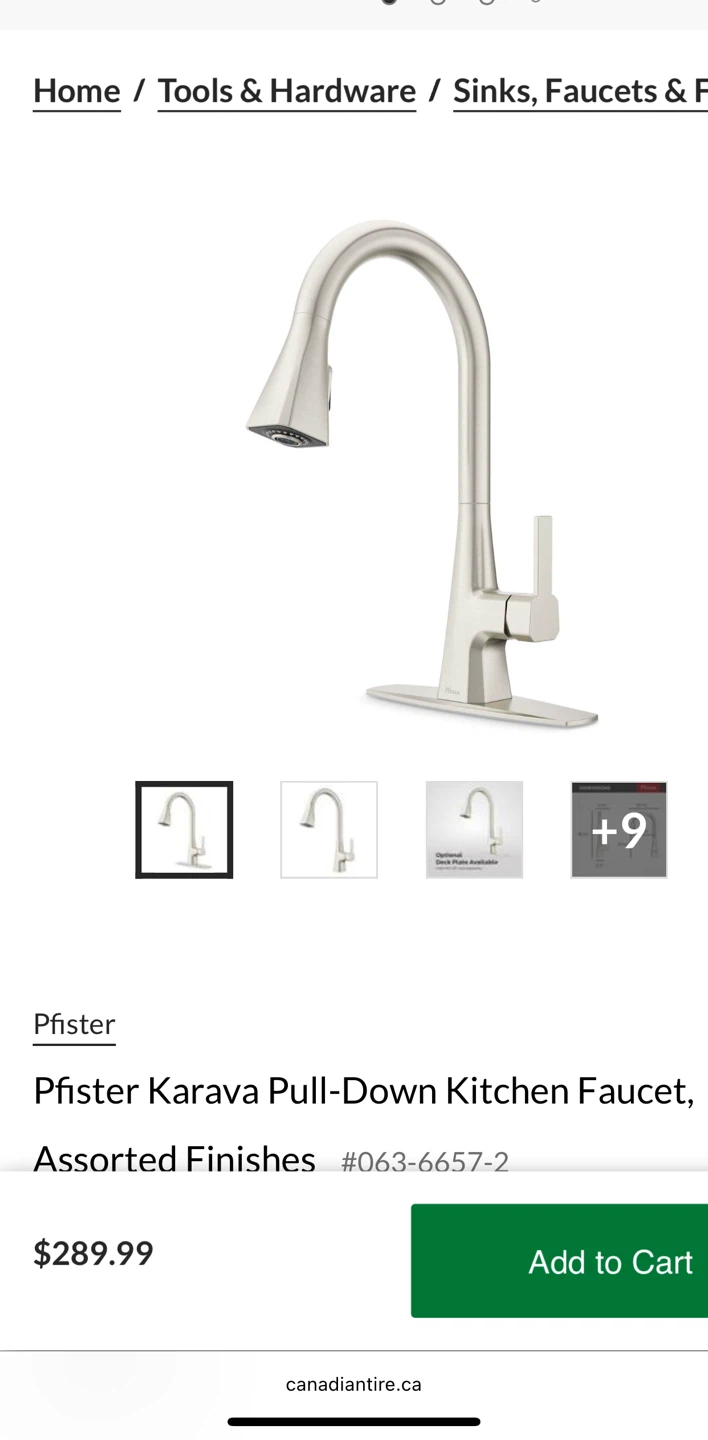Pfister kitchen faucet