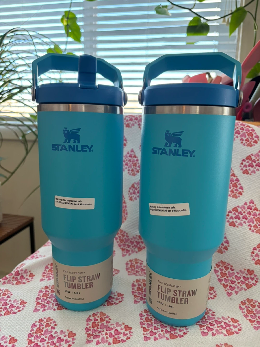 Stanley IceFlow Flip Straw Tumblers - 2 Pack