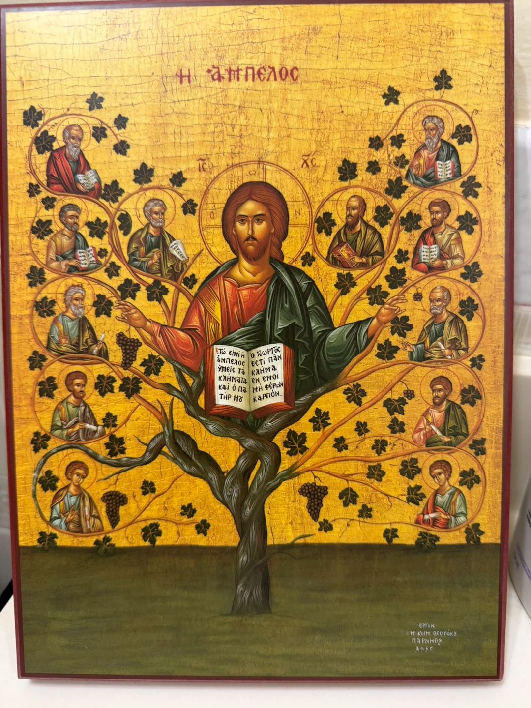 Christ “The True Vine”