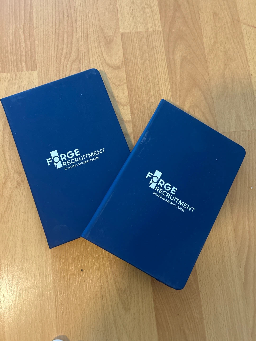 2 blue striped notebooks