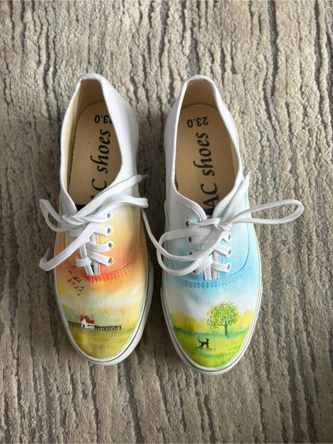 AC Shoes Hand-Painted Canvas Sneakers Size 23.0