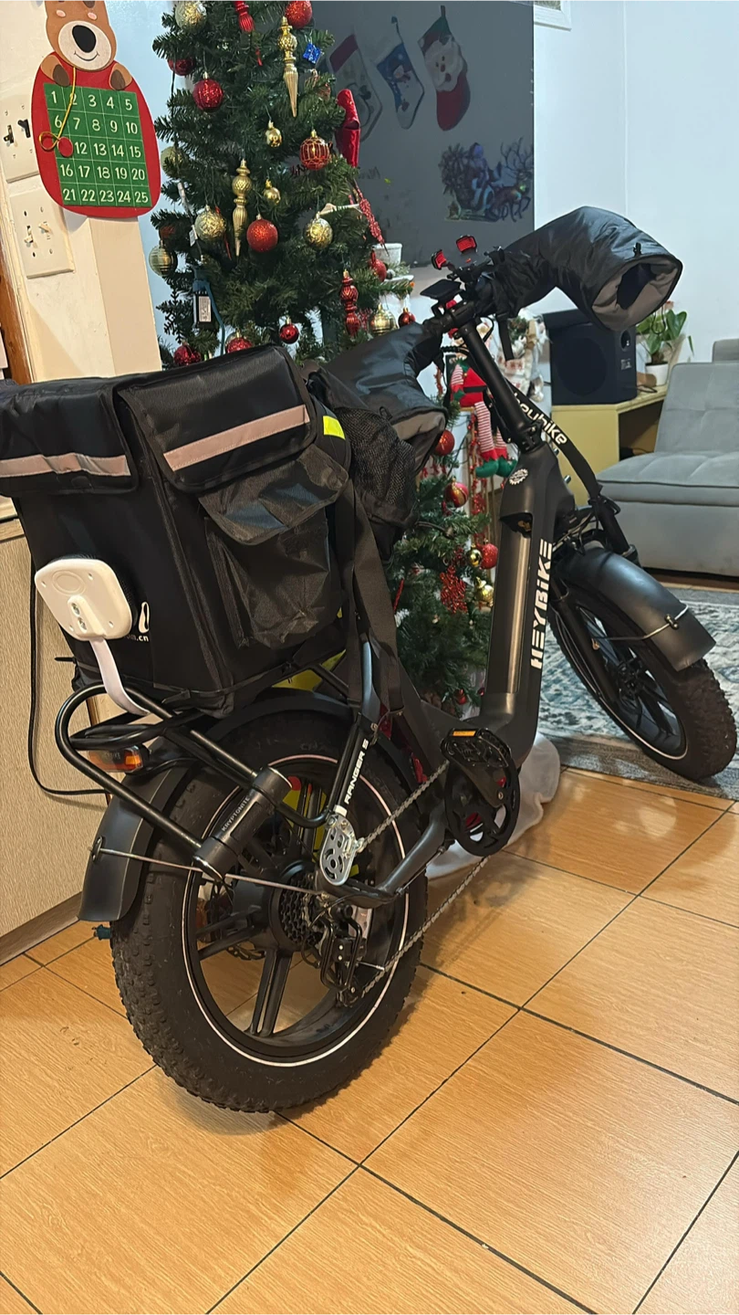 HEYBIKE Electric Bike Ranger S 1000w