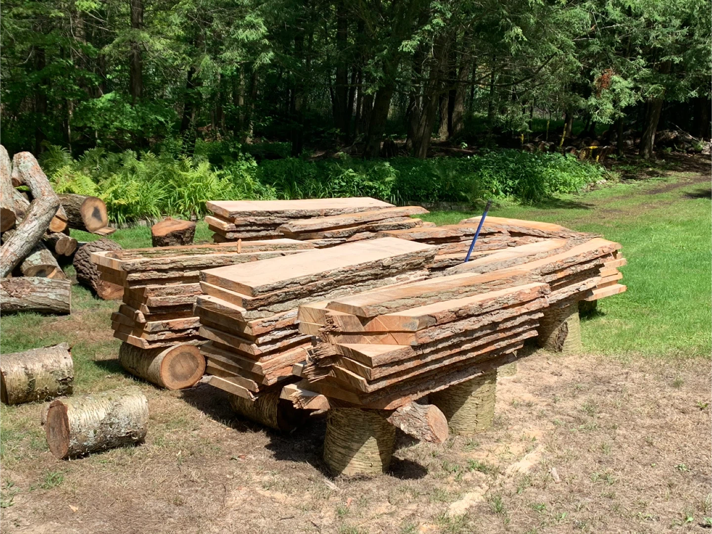 Live edge hardwood planks