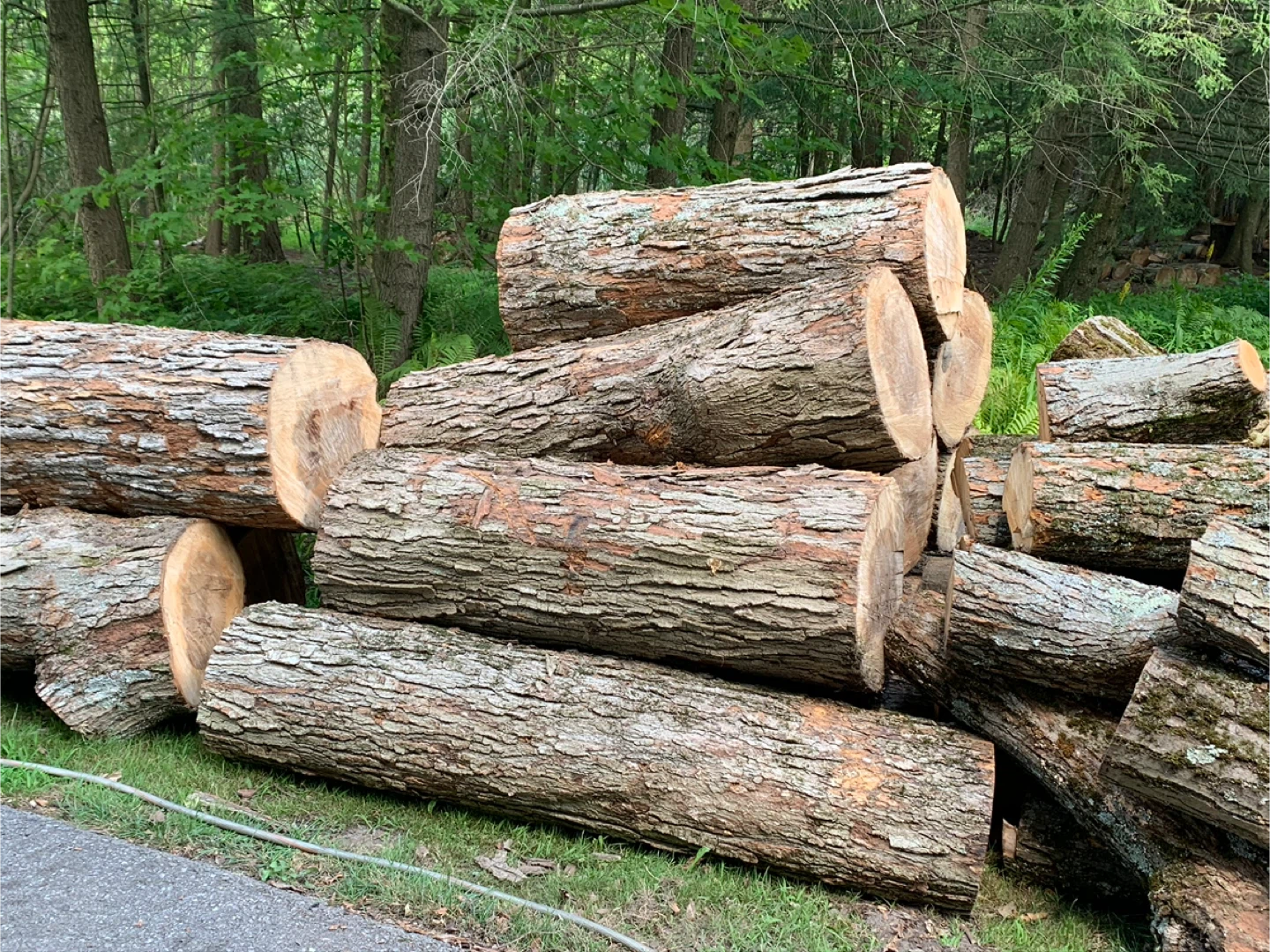 Live edge hardwood planks - photo 2