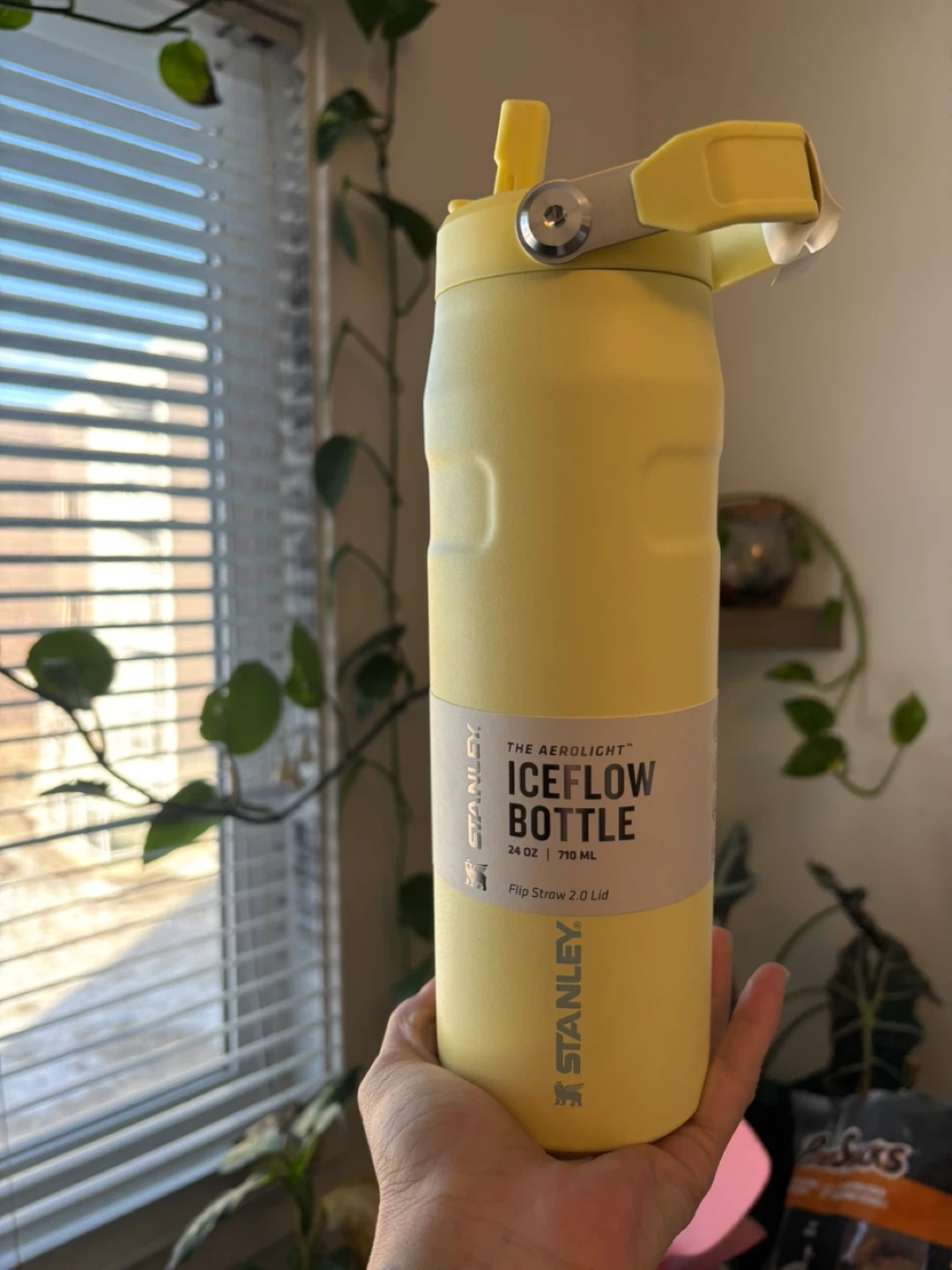 Stanley The Aerolight IceFlow Bottle 24 oz
