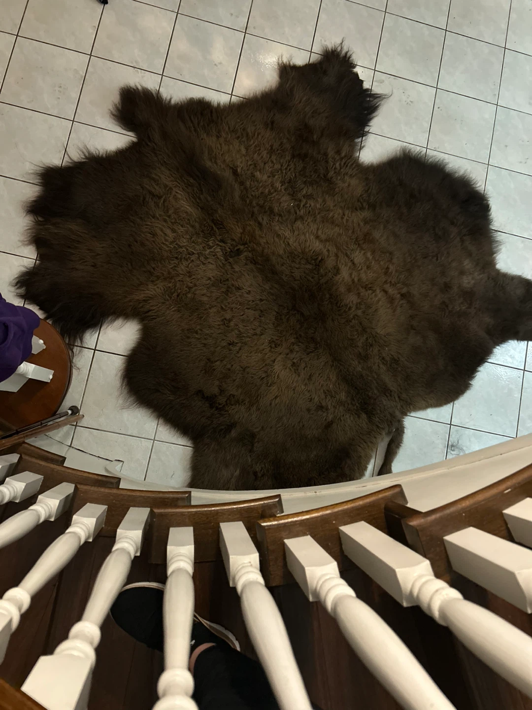 Bison Skull with Horns - photo 2