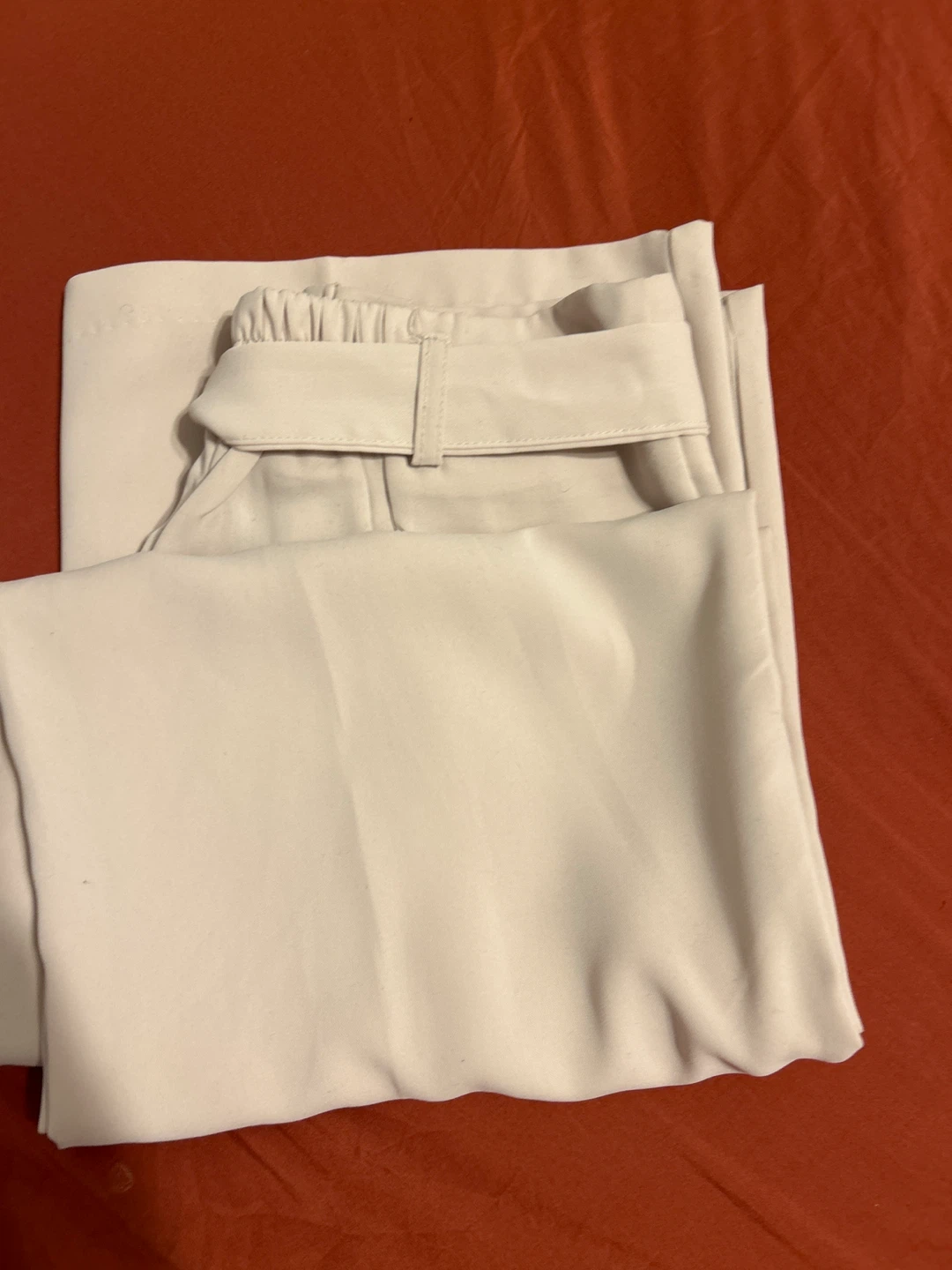 Light Beige Belted Wide-Leg Pants - photo 4