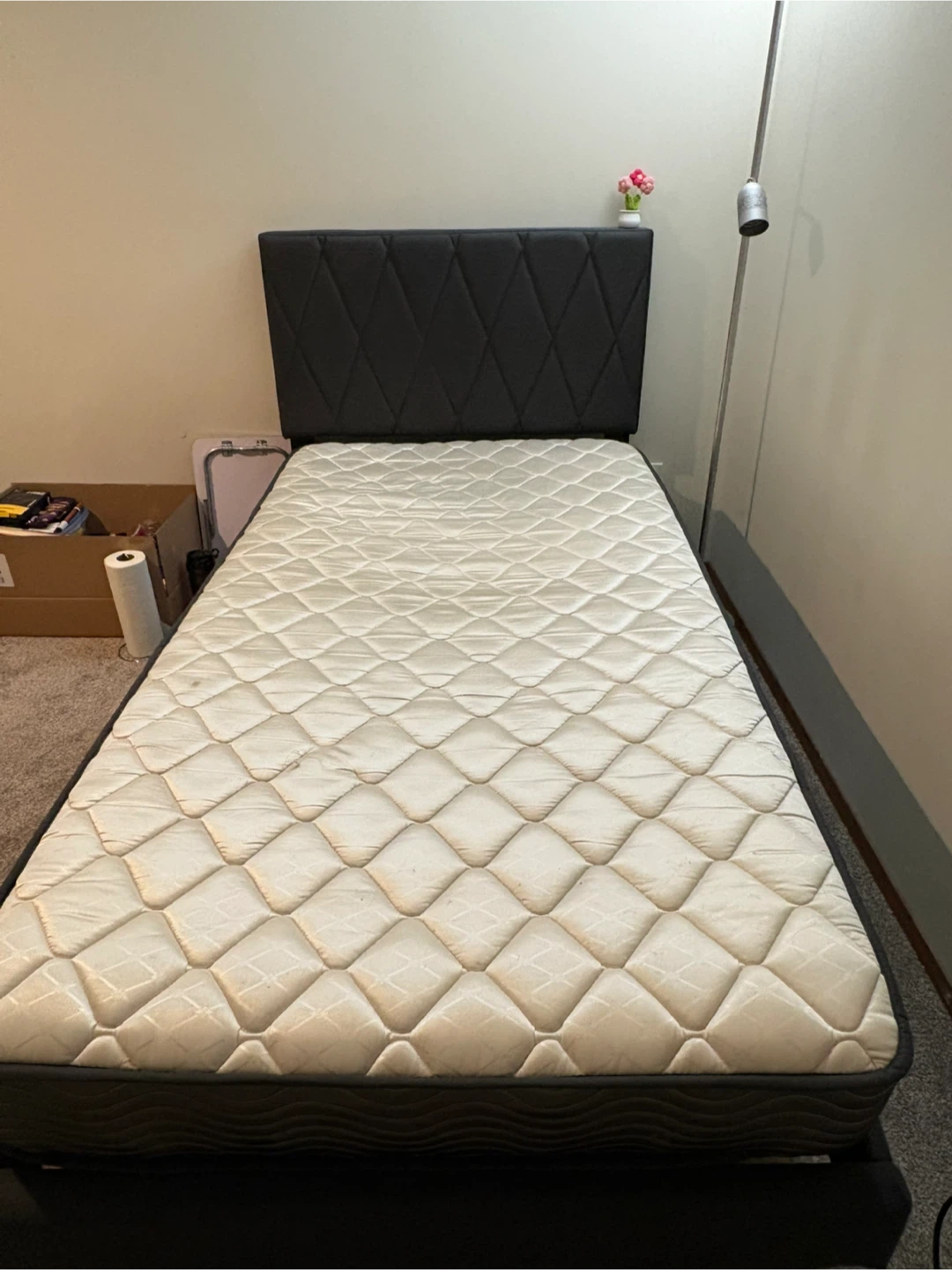 Twin Bed Frame with Mattress