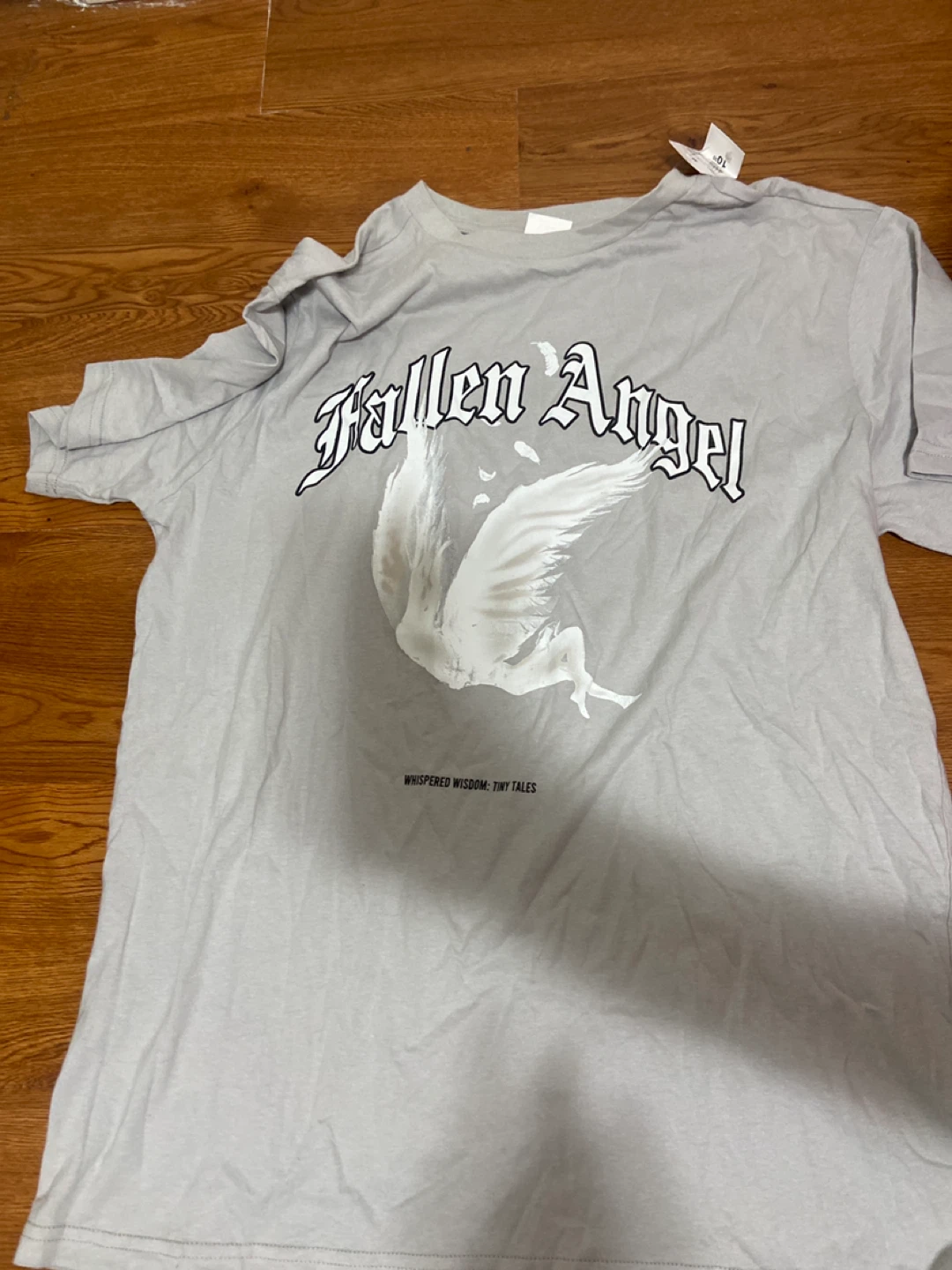 Fallen Angel Graphic T-Shirt