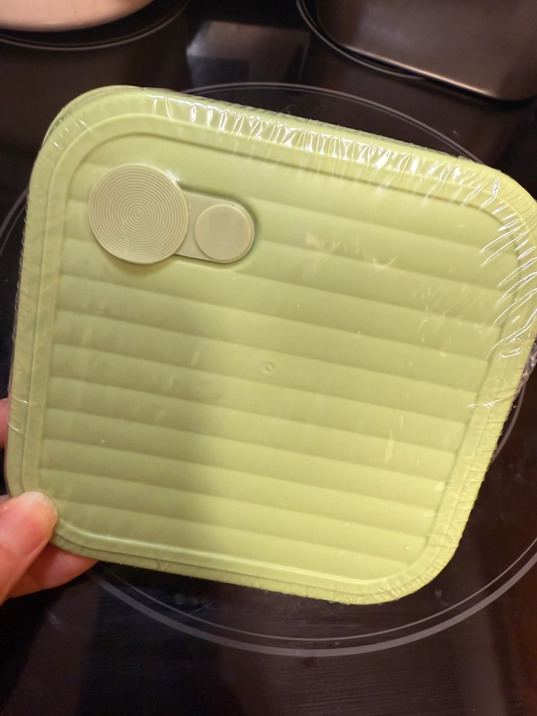 Stainless Steel Food Container