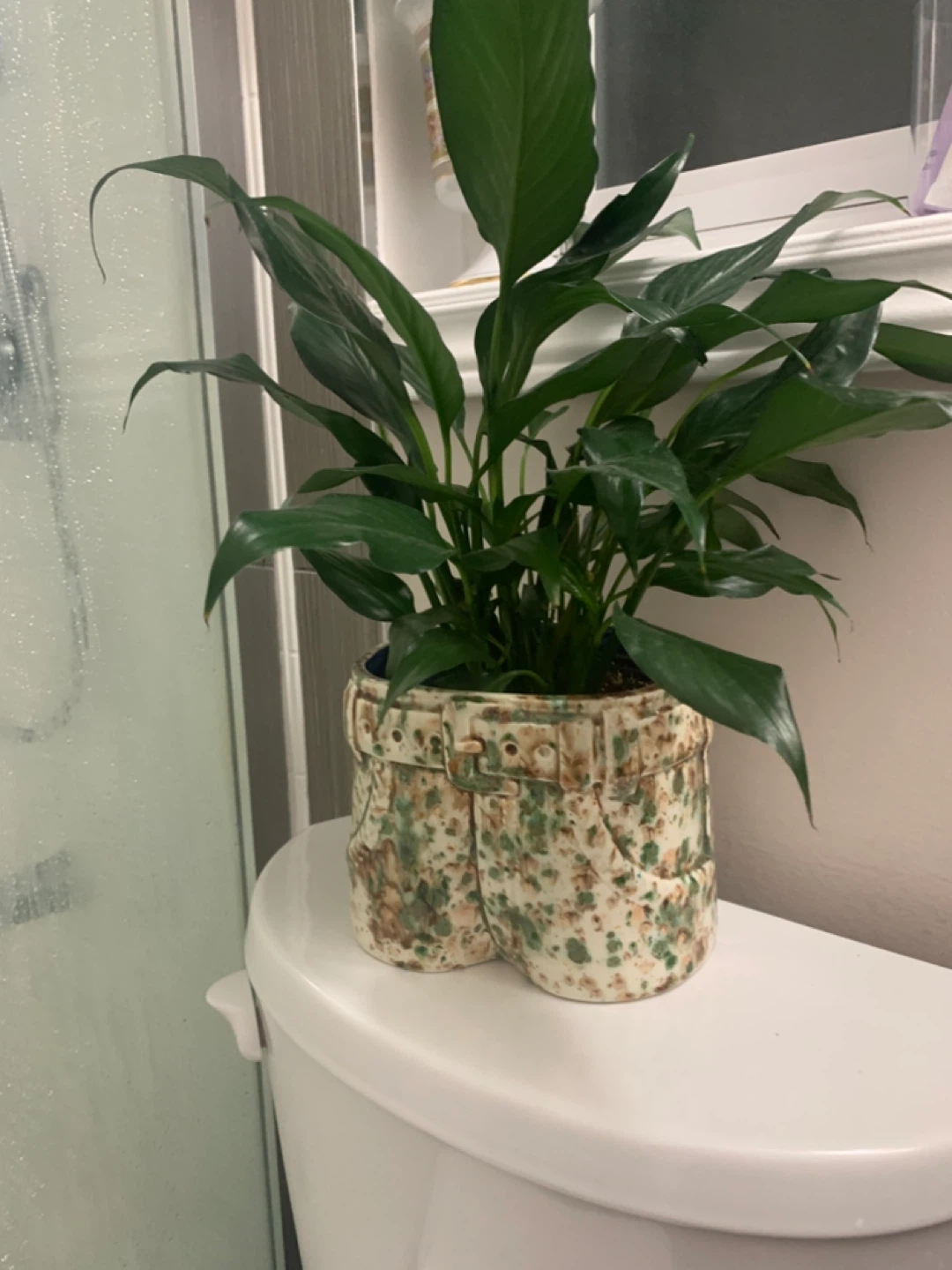 Peace Lily Plant in Unique Jean-Shaped Pot - photo 4