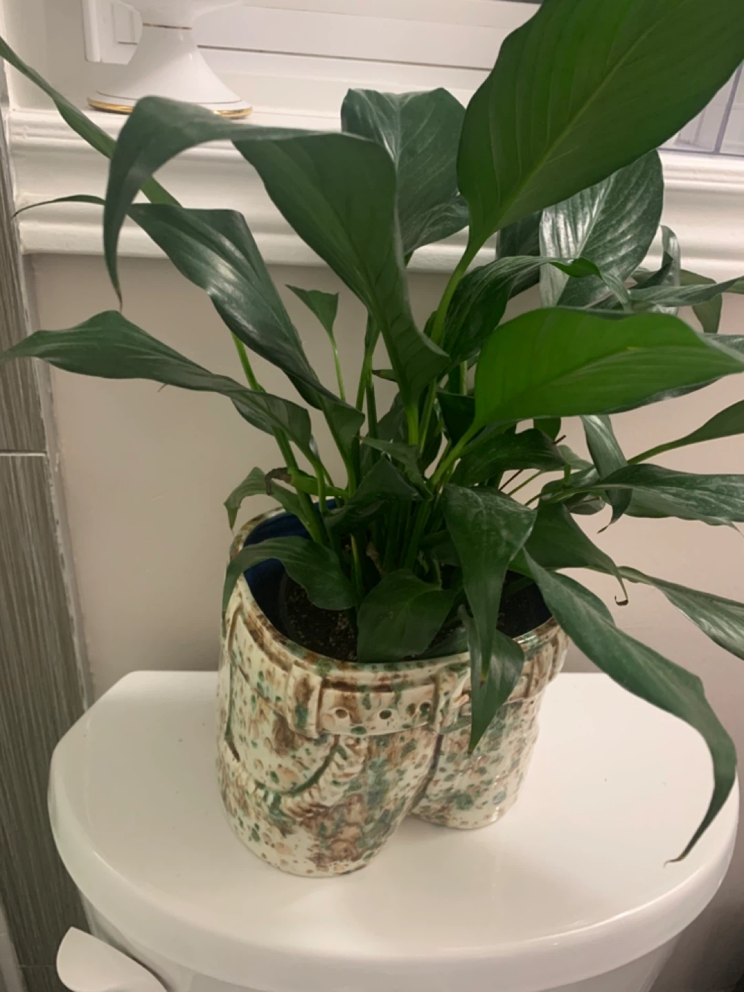 Peace Lily Plant in Unique Jean-Shaped Pot - photo 3