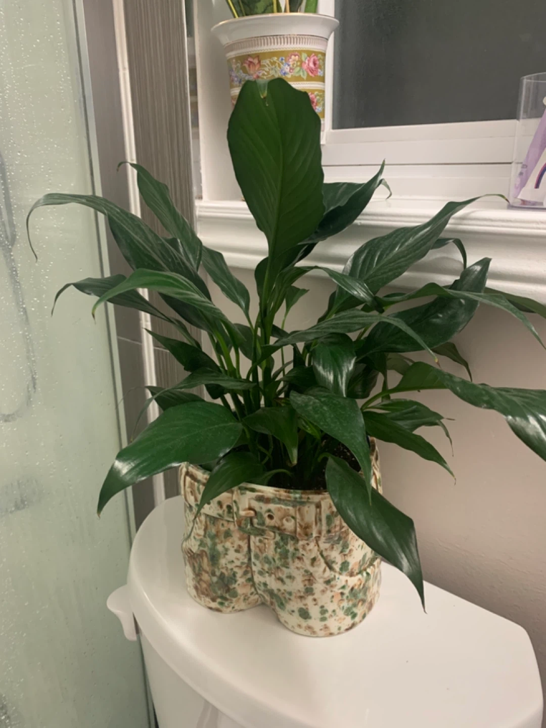 Peace Lily Plant in Unique Jean-Shaped Pot - photo 2