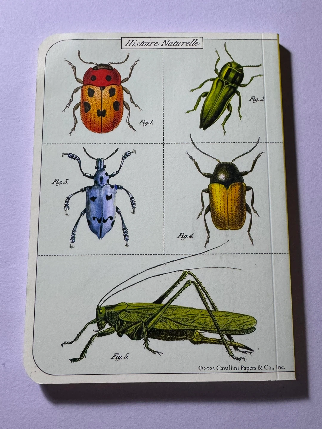 Insect / Bug Nature Blank Notebook - photo 2