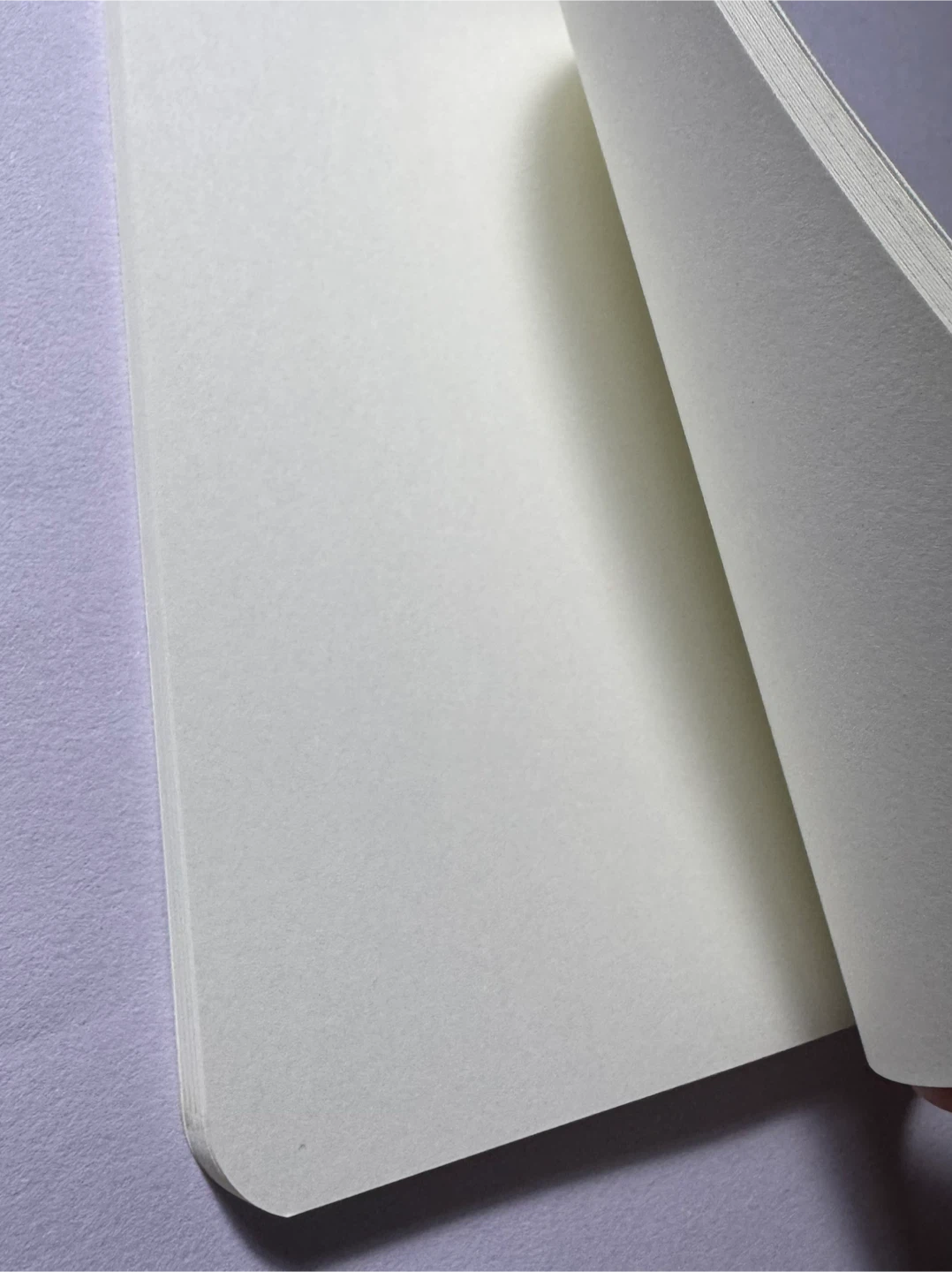Insect / Bug Nature Blank Notebook - photo 3