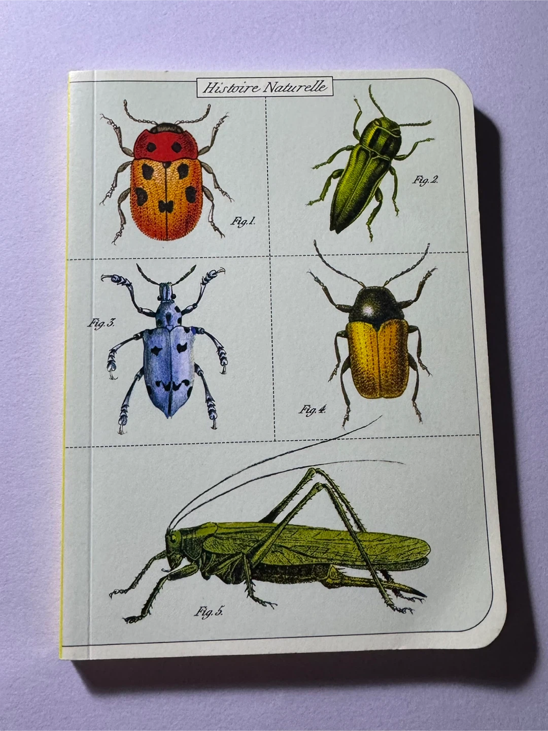 Insect / Bug Nature Blank Notebook