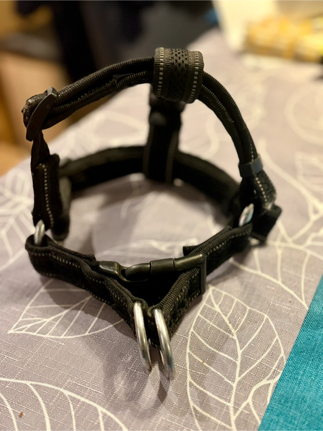 Black Dog Harness - small - photo 2