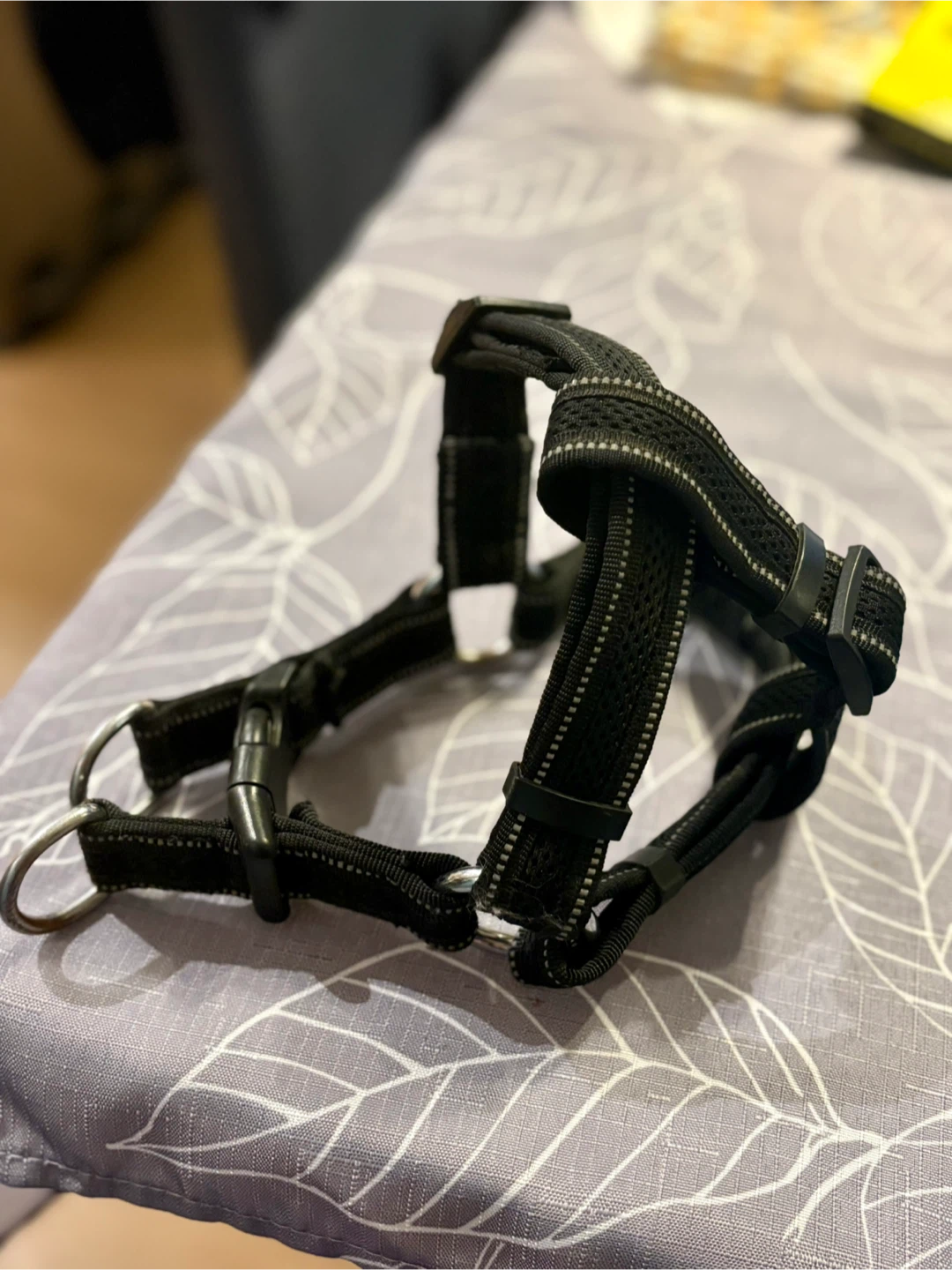 Black Dog Harness - small