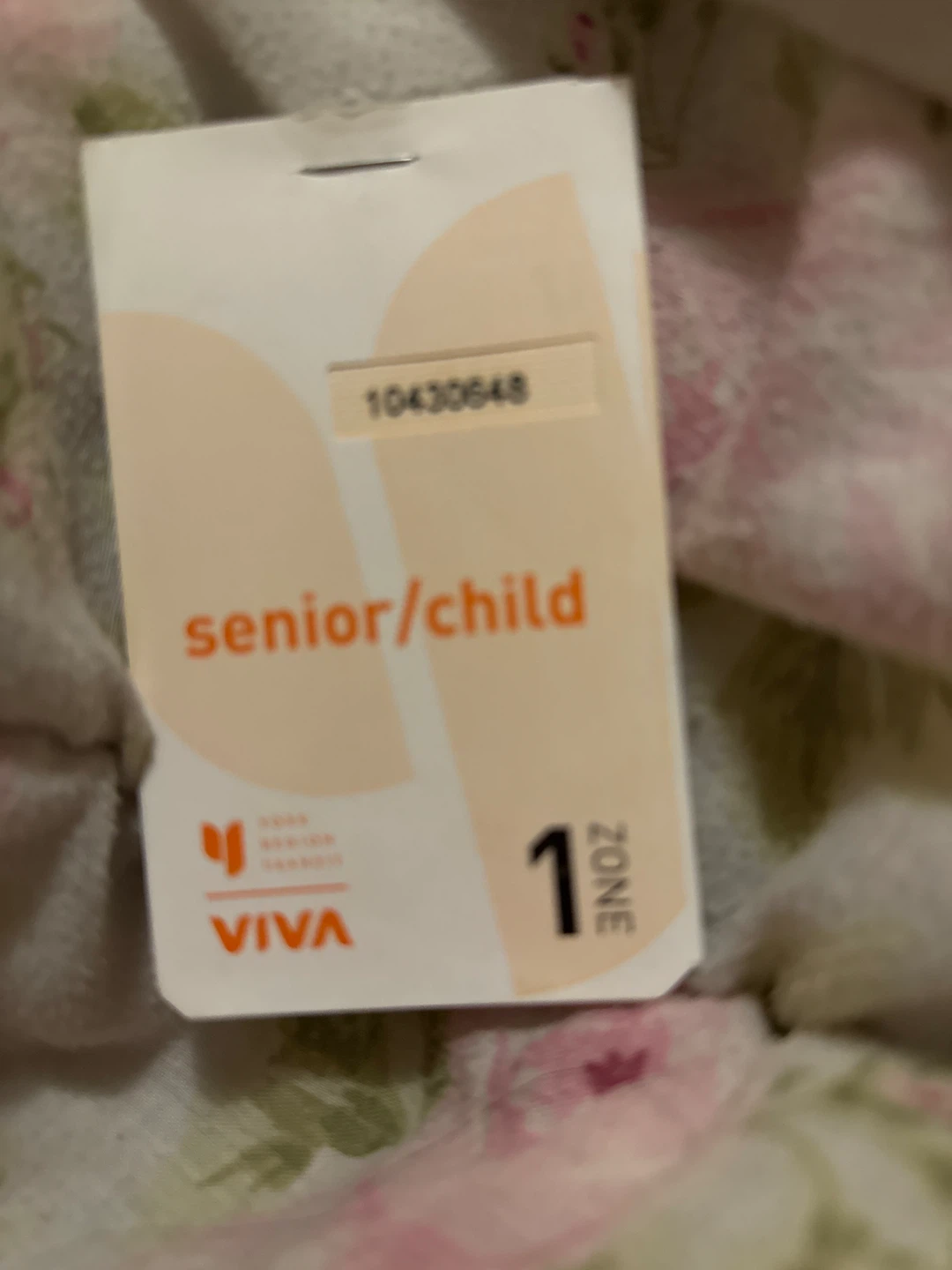VIVA Senior/Child Zone 1 Pass