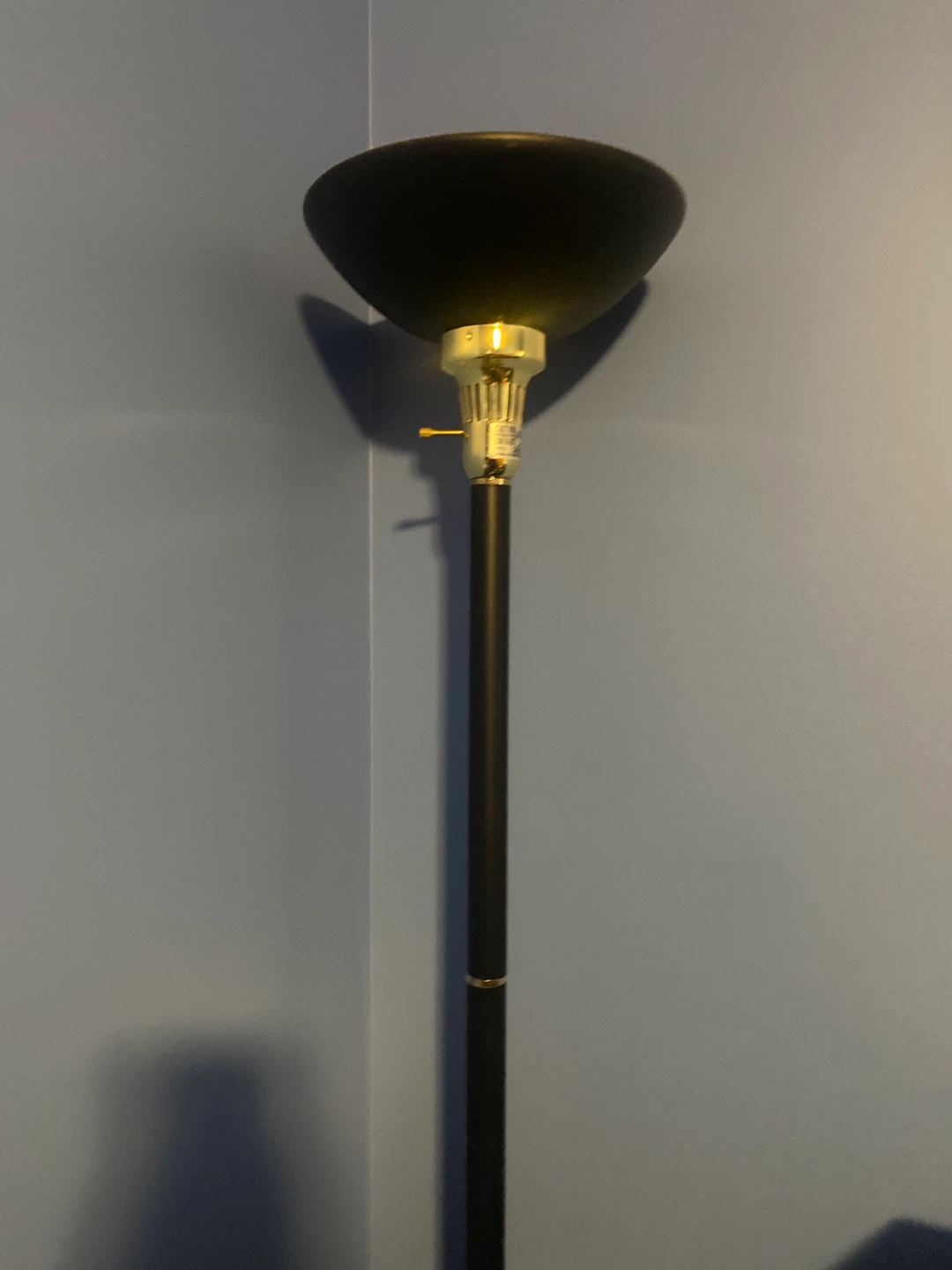 Black Floor Lamp