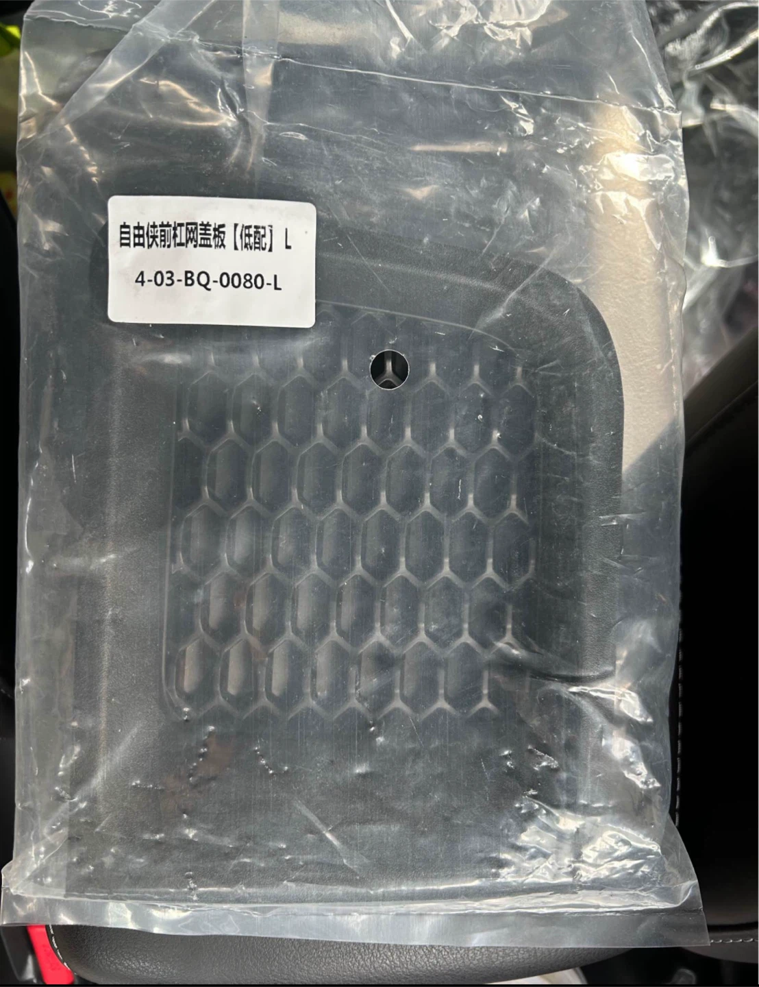 Left side Car Grille Cover