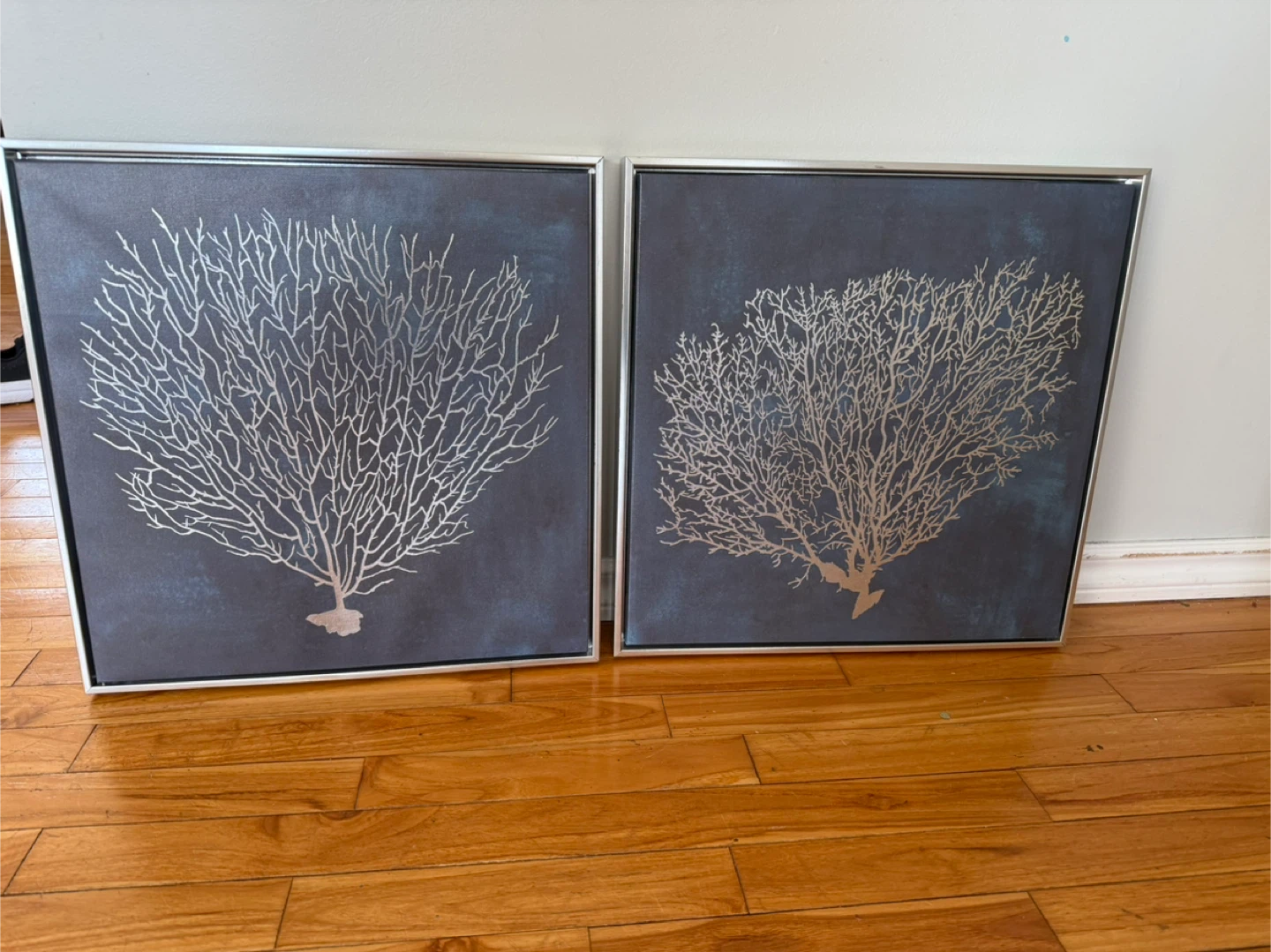 Beautiful  set of  photos - photo 2