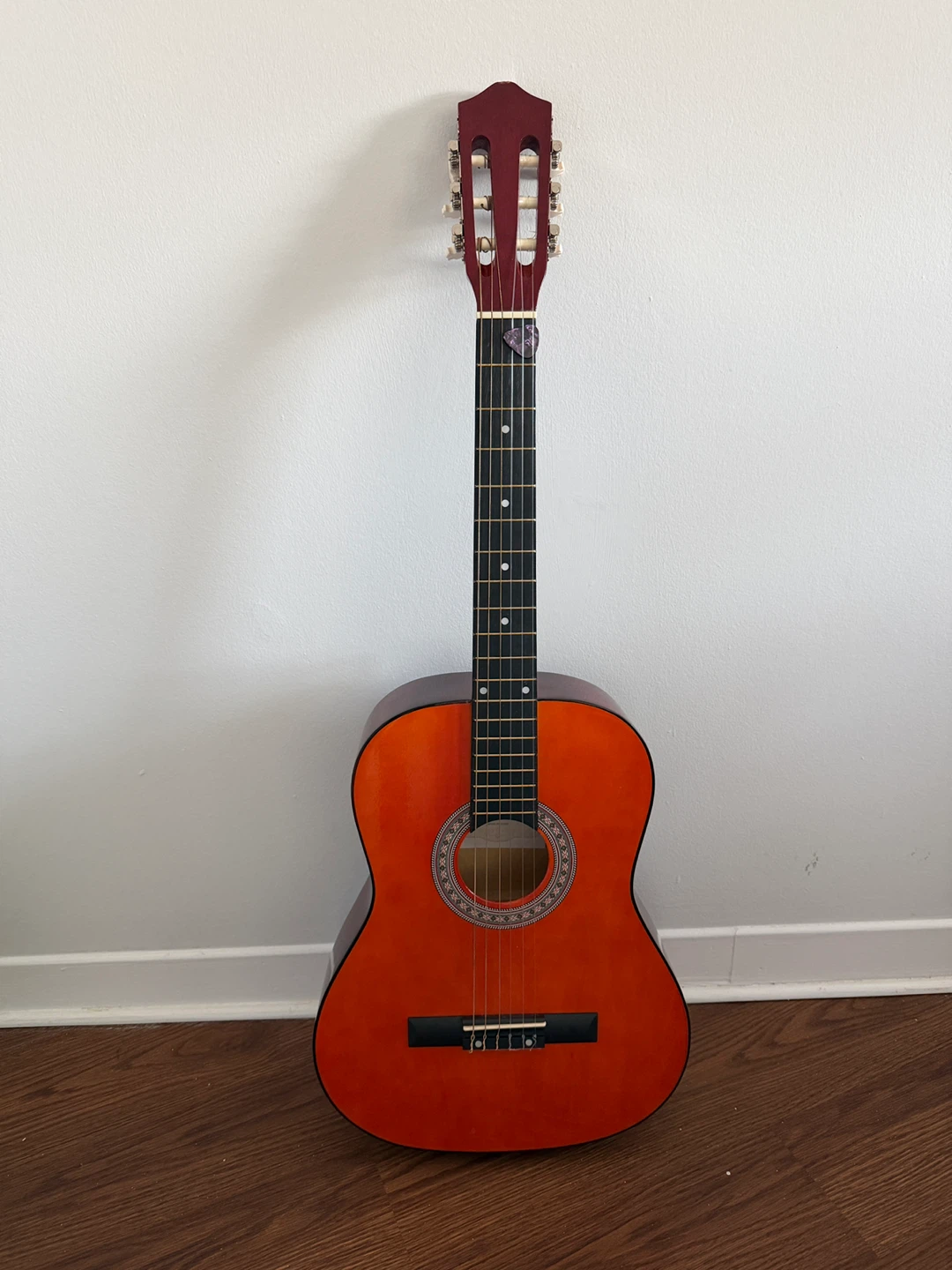 Acoustic Guitar with Gig Bag