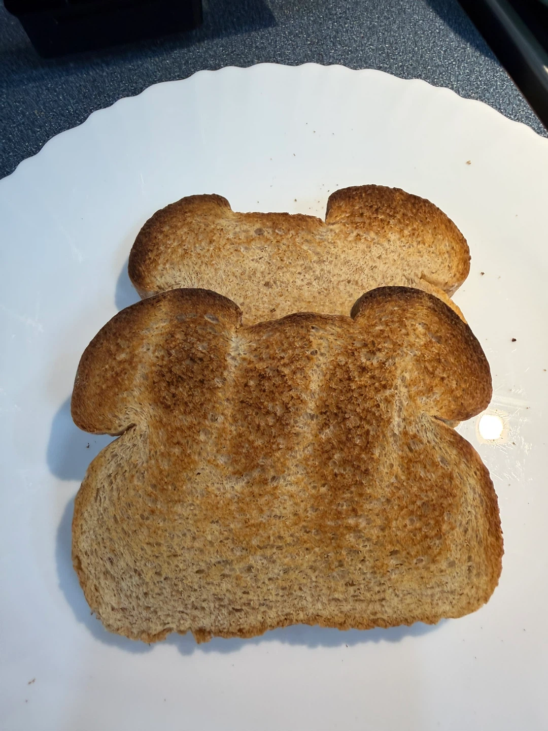 🧡Dash Toaster Oven with 2 Slices of Bread - photo 3