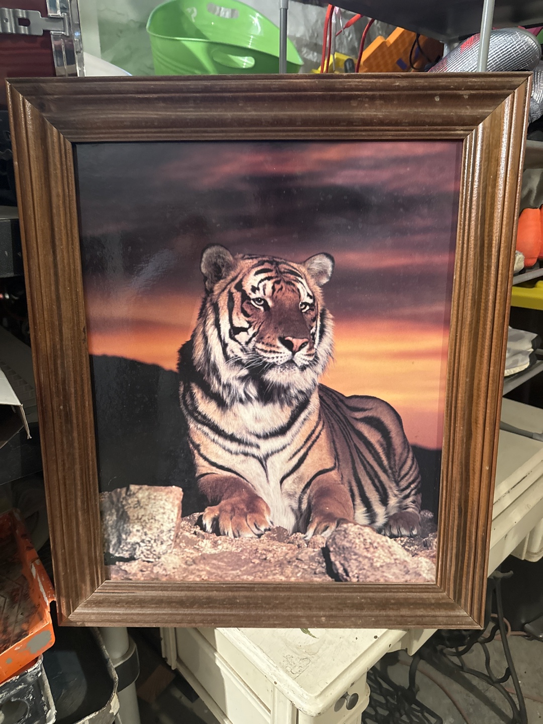 Framed Tiger Picture