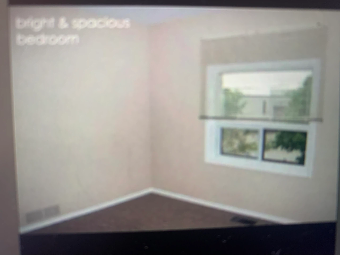 Option Furnished- Spacious 1 Bedrm apt.Immed. - photo 3