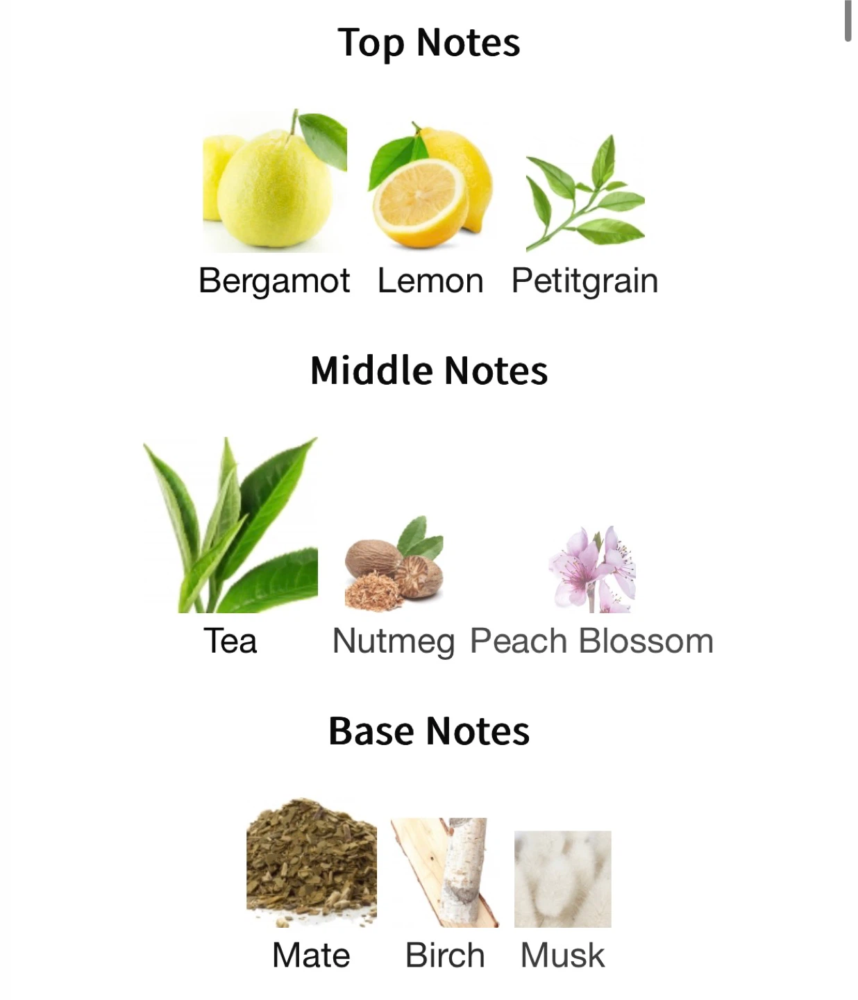 Miller Harris Tea Tonique - 100ml - photo 3