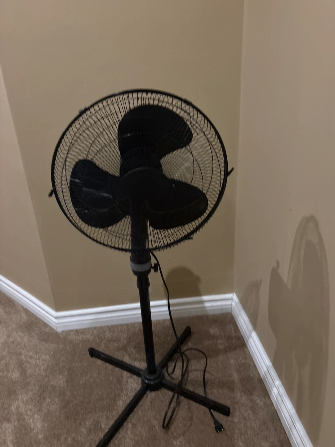 Black Oscillating Pedestal Fan