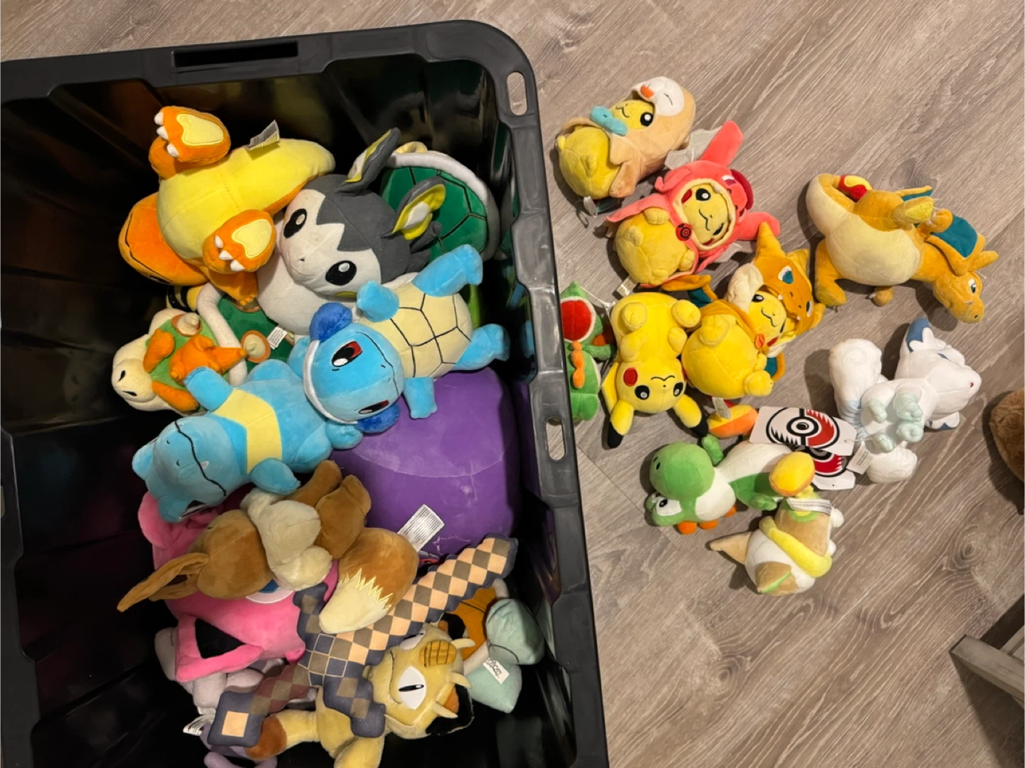 Pokemon plush lot