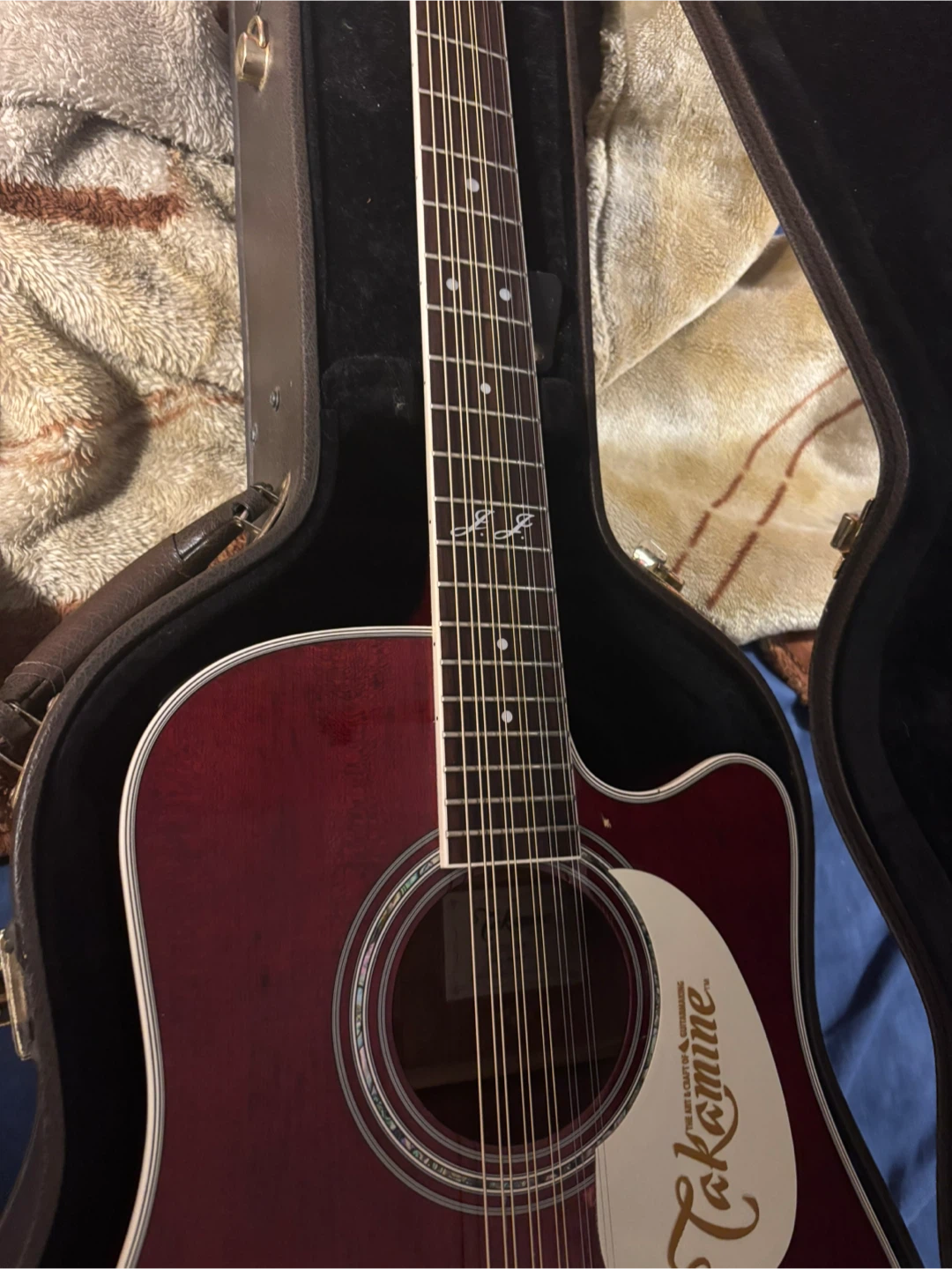Takamine 12-String Acoustic Guitar