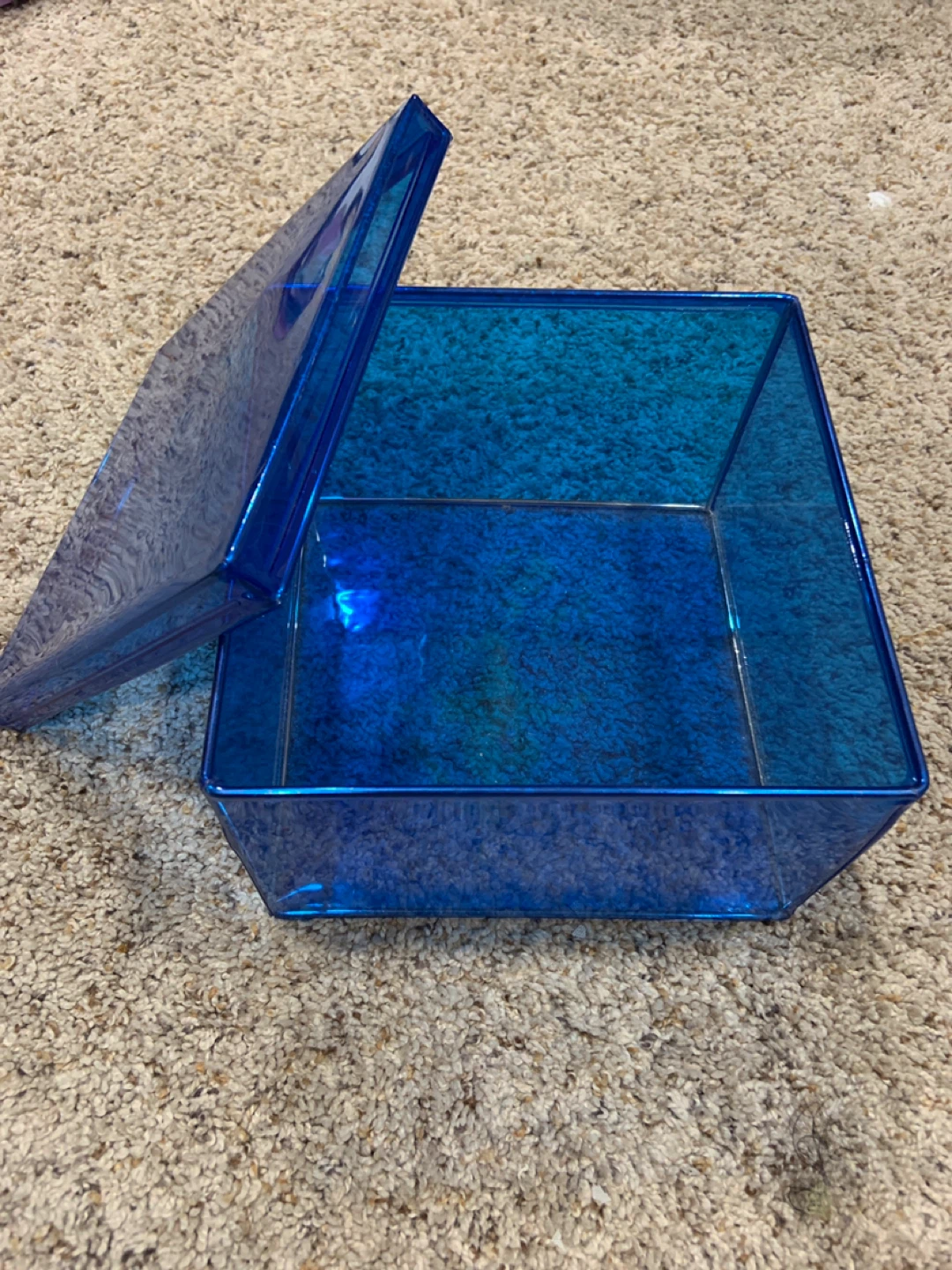 🧡 Blue Translucent Storage Box with Lid