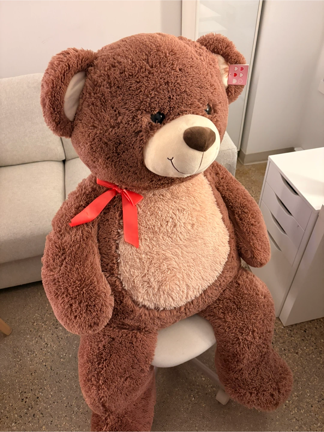 Teddy Bear