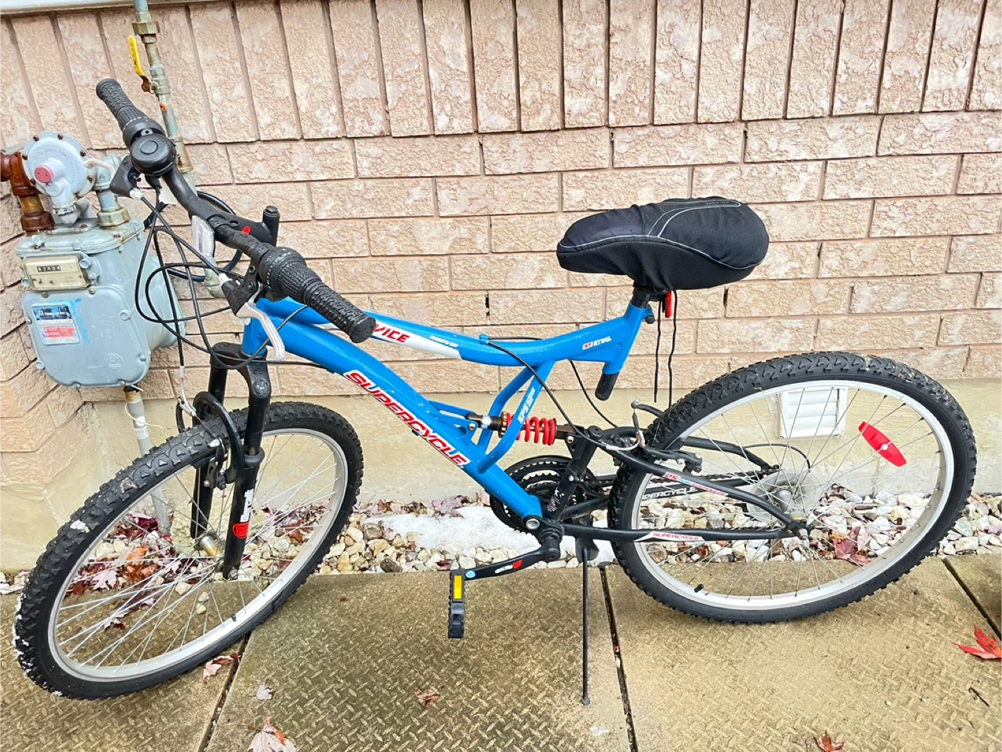 Supercycle Blue Mountain Bike