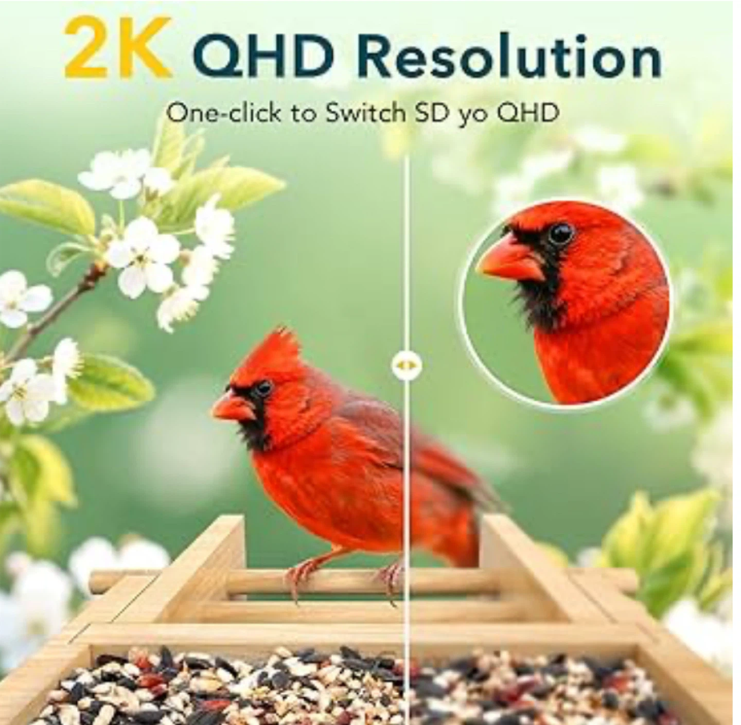PeckCam Bird Feeder Camera with 2K QHD Resol - photo 2