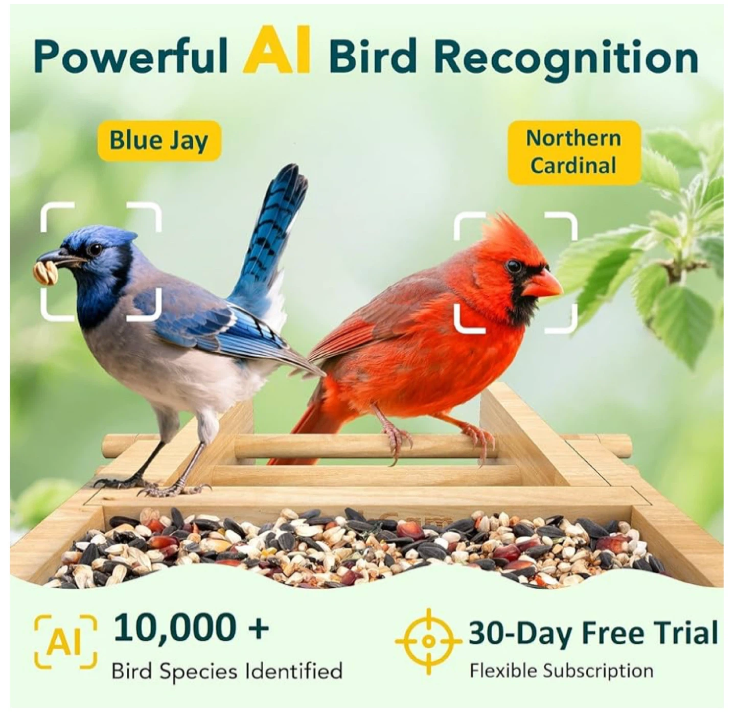 PeckCam Bird Feeder Camera with 2K QHD Resol - photo 4
