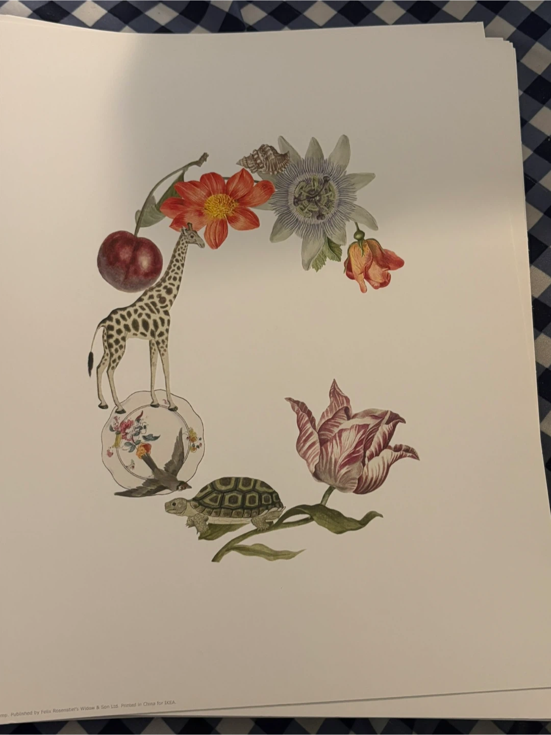 Alphabet Illustrations 8.5” x 10” 🧡 - photo 3