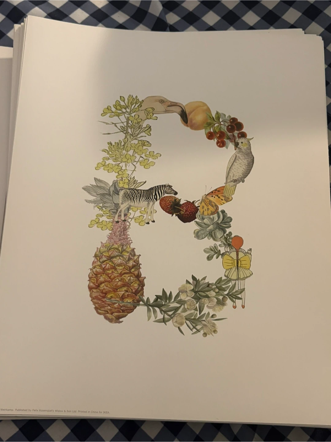 Alphabet Illustrations 8.5” x 10” 🧡 - photo 2